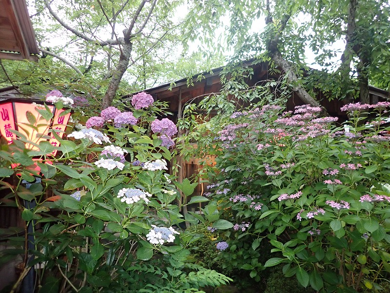 P6192514