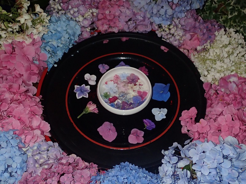 P6242630