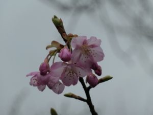 P1012360
