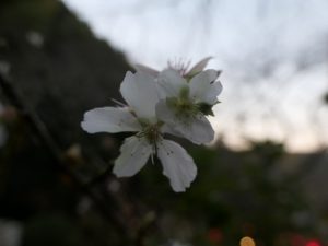 P1045890