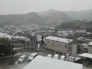 P1046118