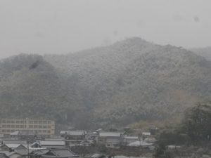 P1046120