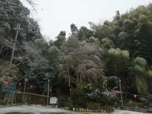 P1046124