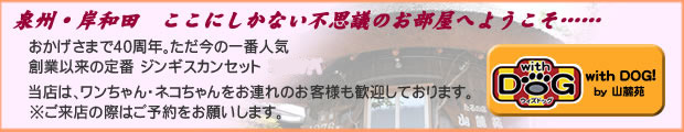 泉州・岸和田 ここにしかない不思議のお部屋へようこそ……